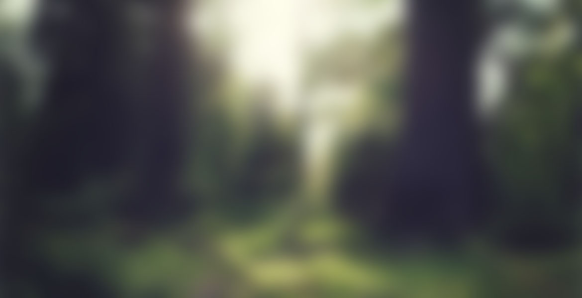 Landscape Photography